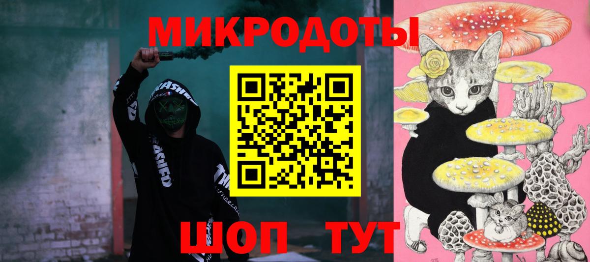 Галлюциногенные грибы Psilocybe Трёхгорный